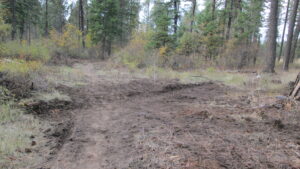 New English Point, Photo by Geoff Harvey