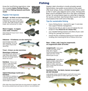 Excerpt of Fishing Info