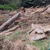 Planting Day, Photo by Greg Hill