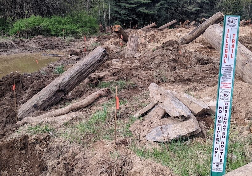 Planting Day, Photo by Greg Hill